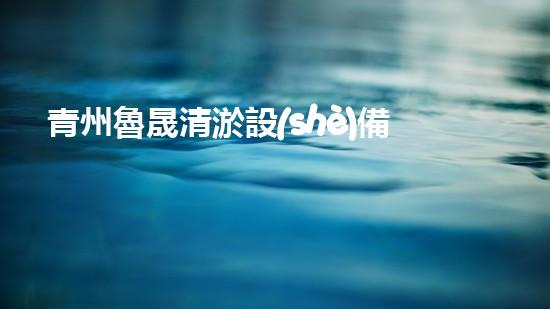 青州魯晟清淤設(shè)備：解決污水難題，重塑清新環(huán)境！
